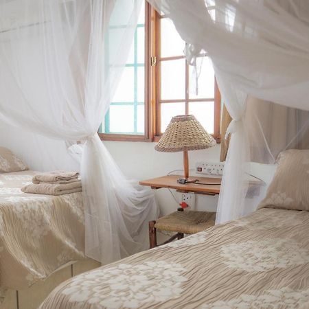 C-Mew Guest House Praia do Praia do Tofo 外观 照片